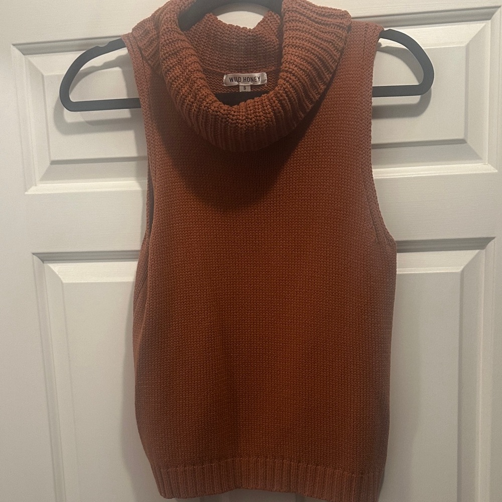 Wild Honey Rust Sleeveless Knit Top